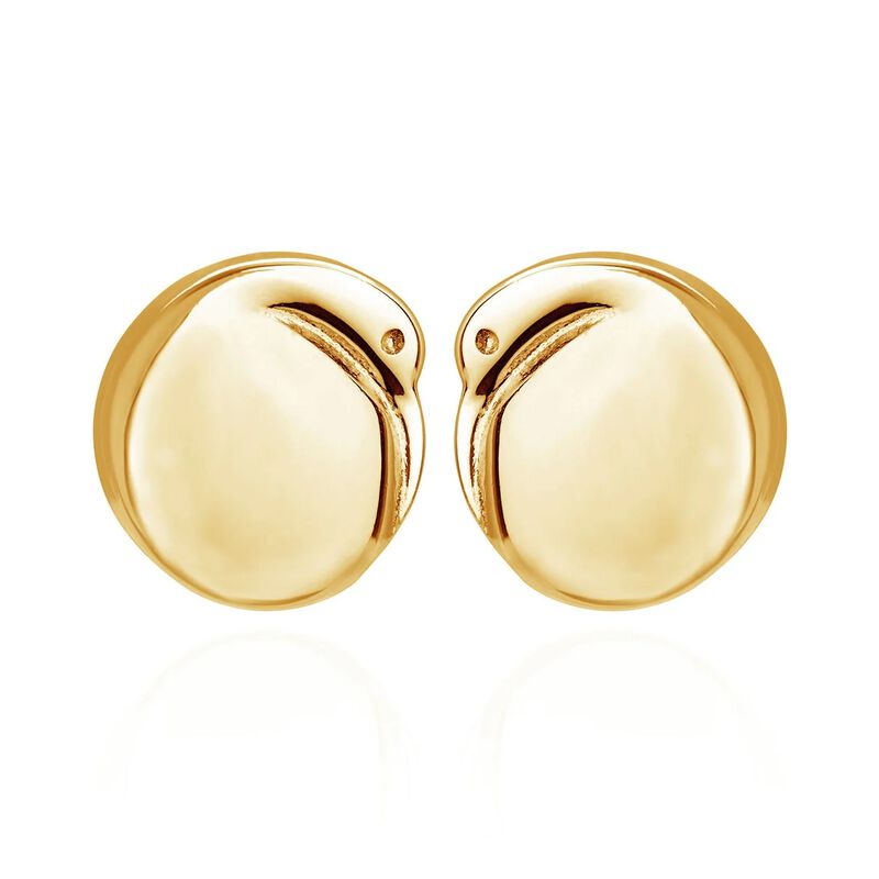 Boh Runga Kiwi Studs Gold Plate image number 0